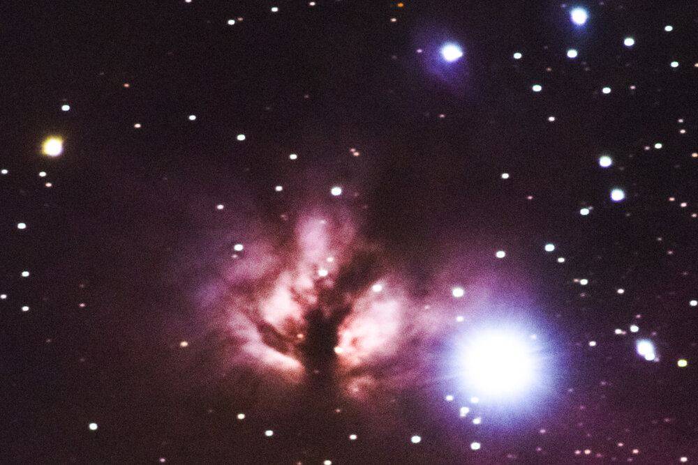 DSC_9263-Mean-3-flame-crop.jpg