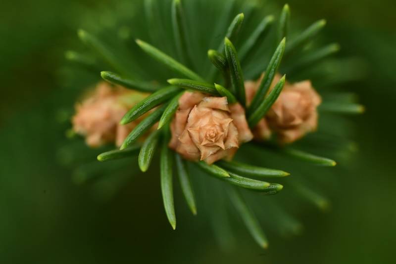 DSC_9480.JPG