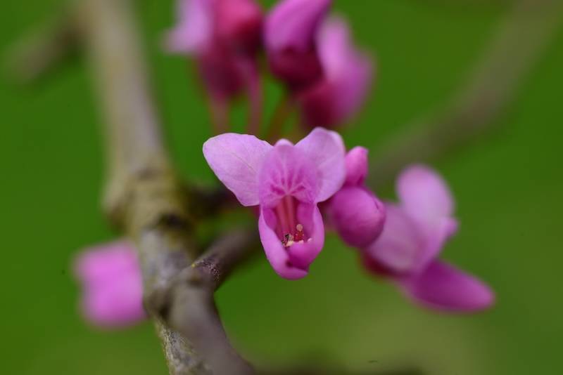 DSC_9482.JPG