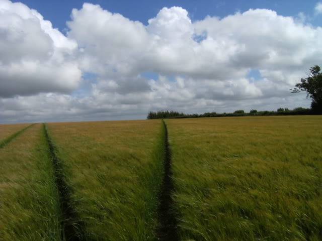 DSCF0048.jpg
