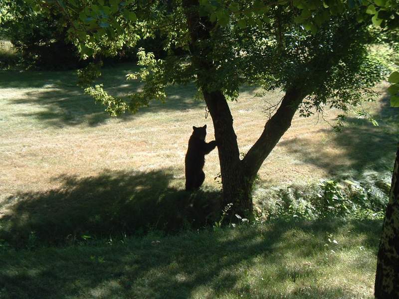 DSCF1091.jpg