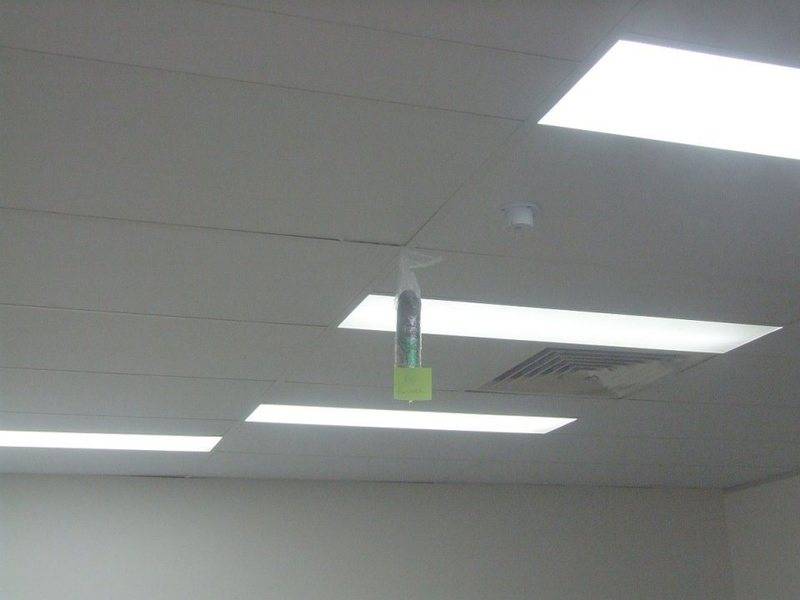 DSCF6016sm.jpg