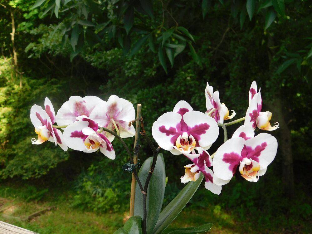 DSCN1642.JPG