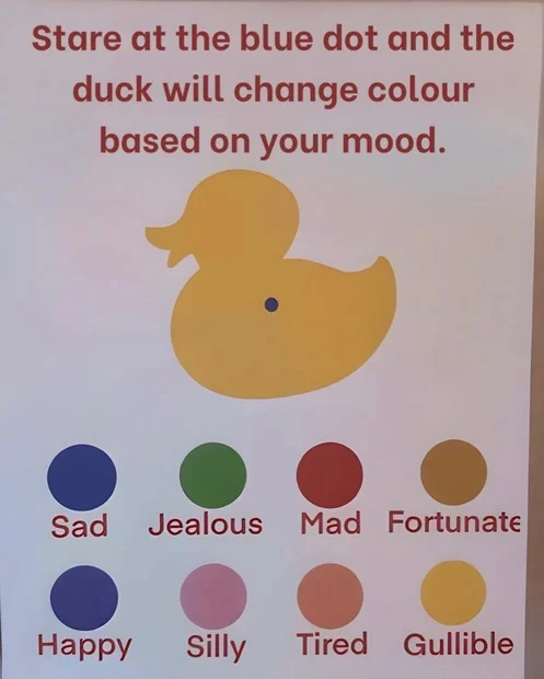 Duck mood color.webp