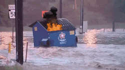 DumpsterFire.gif
