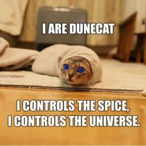 dune-cat2-300x300.jpg
