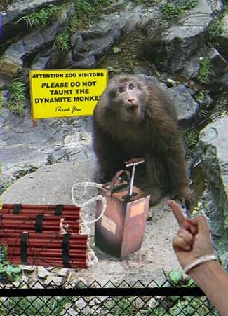 Dynamite_monkey.jpg