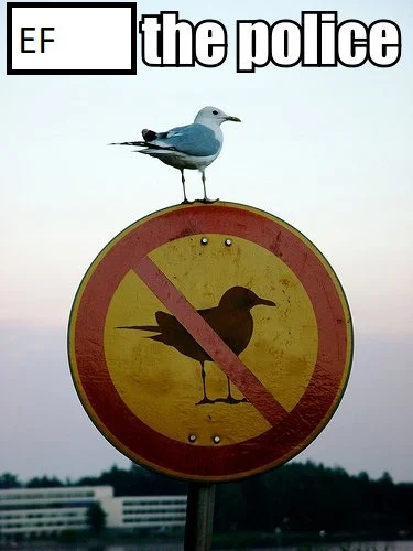 Ef_The_Police2.webp