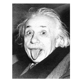 einstein.gif