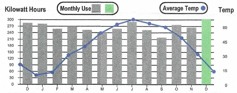 Electric bill.webp