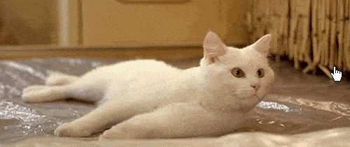 EMHl7.gif