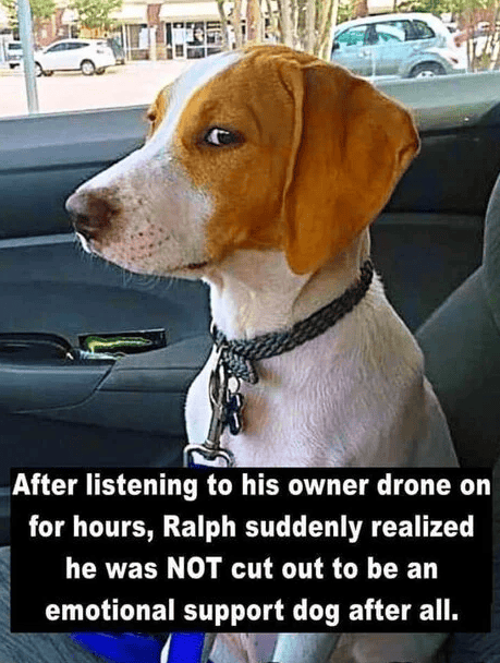 emotional support dog.png
