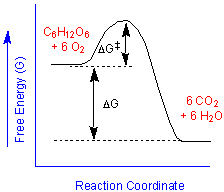 energydiagram.gif
