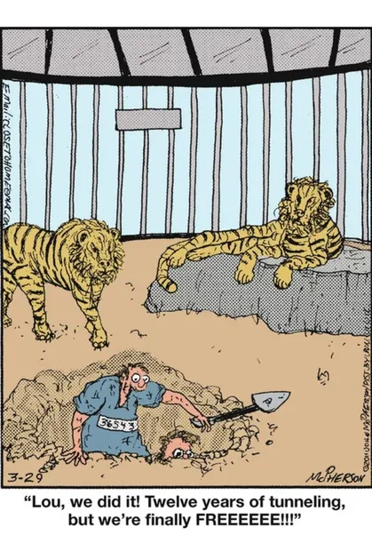 Escape into den.webp