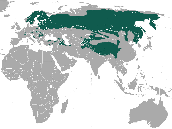 Eurasian_Lynx_area.png