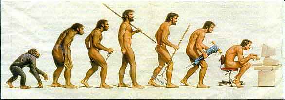evolution.jpg