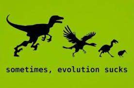Evolution Sucks.jpg
