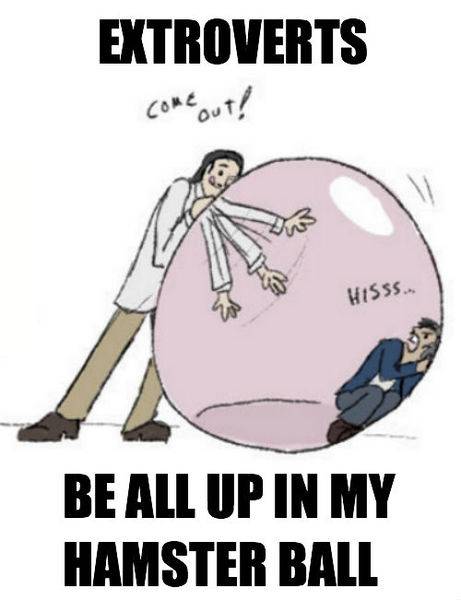 extroverts-be-all-up-in-my-hamster-ball.jpg