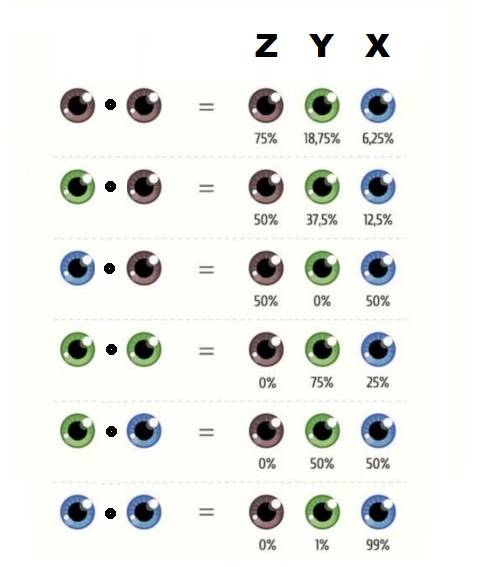 Eyes.jpg