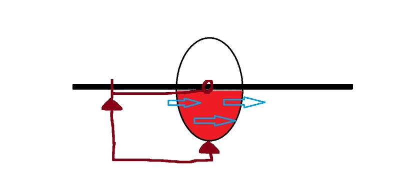 f disc.webp