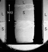 F2.small.gif