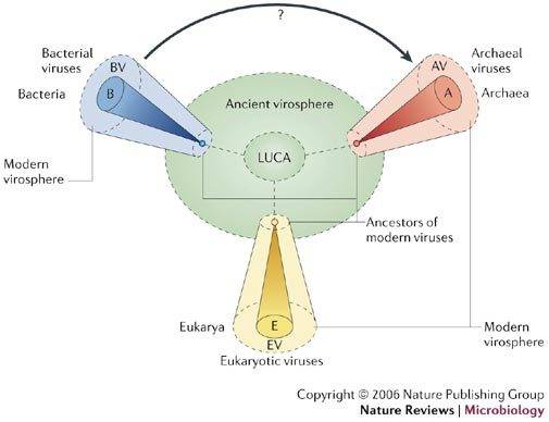f4_prang_nrmicro1527-i1.jpg