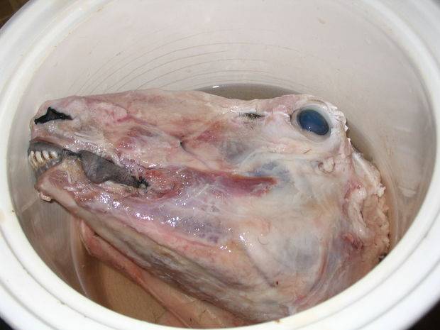 F5JGAWNFN82X6X0.MEDIUM.jpg