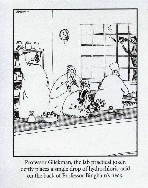 Far Side.jpg