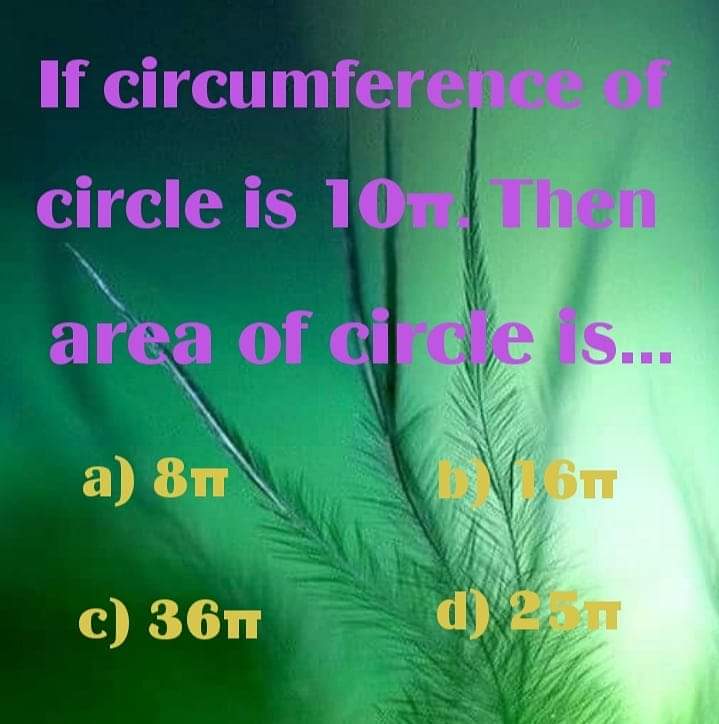 FB_IMG_1611801510361.jpg