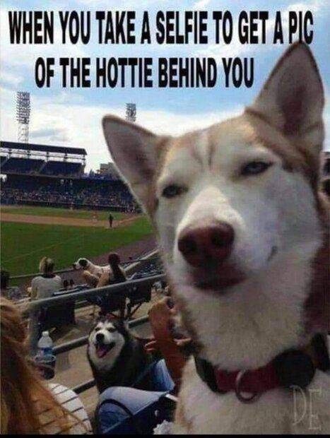FB_IMG_1664007203625.jpg