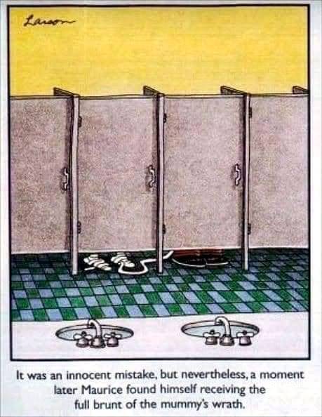 FB_IMG_16647161723615768.jpg