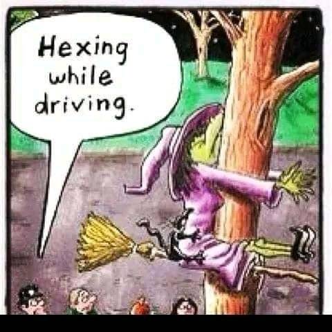FB_IMG_16669148053316980.jpg