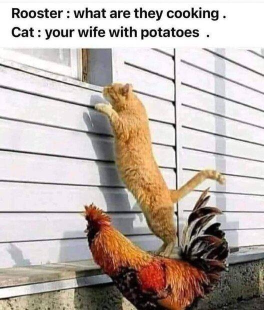 FB_IMG_1667319955711.jpg
