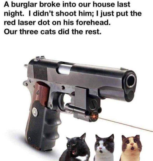 FB_IMG_1667543267850.jpg