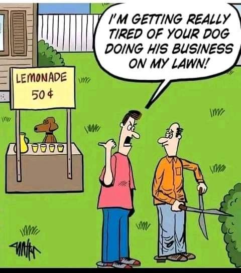FB_IMG_16687557016484344.jpg