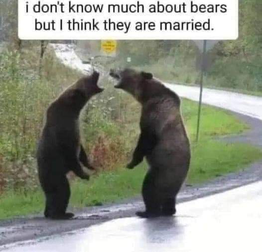 FB_IMG_1670303149727.jpg