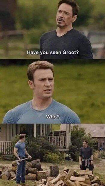 FB_IMG_1670440227465.jpg
