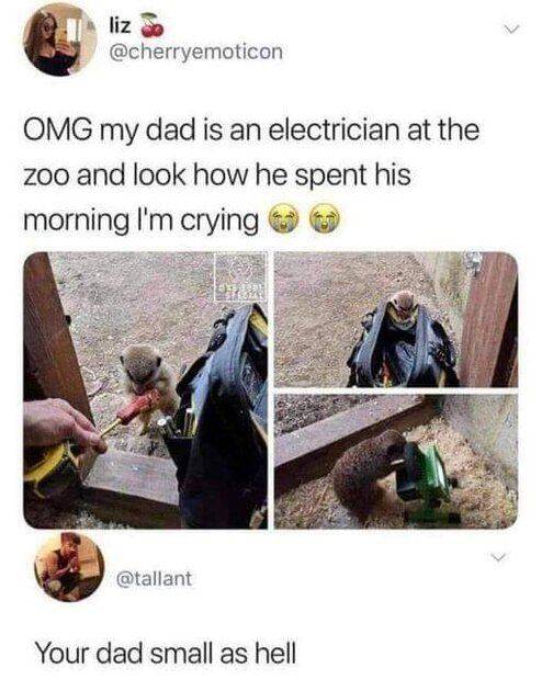 FB_IMG_1671149734517.jpg