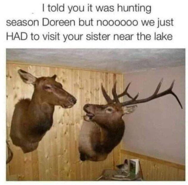 FB_IMG_1671236817075.jpg
