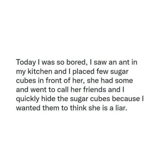 FB_IMG_1672698553807.jpg