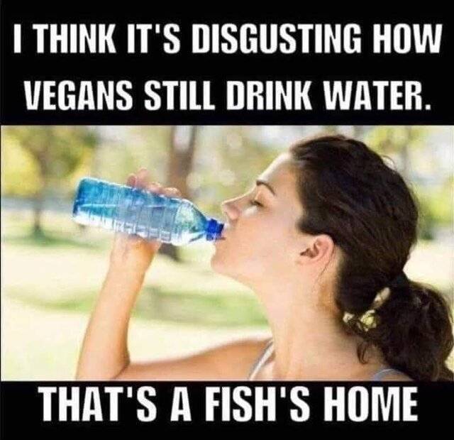 FB_IMG_1675631980499.jpg