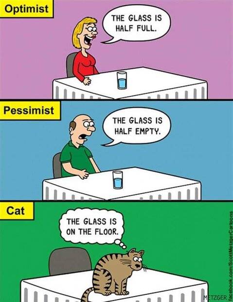 FB_IMG_1676064526919.jpg