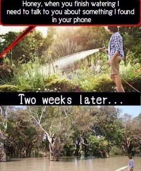 FB_IMG_1678087292951.jpg