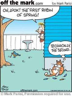 FB_IMG_1680066139222.jpg