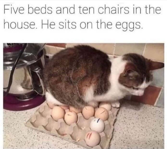 FB_IMG_1684214175130.jpg