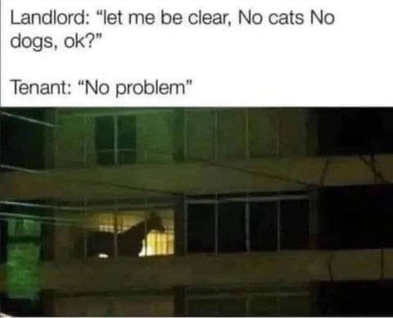 FB_IMG_1684341512650.jpg