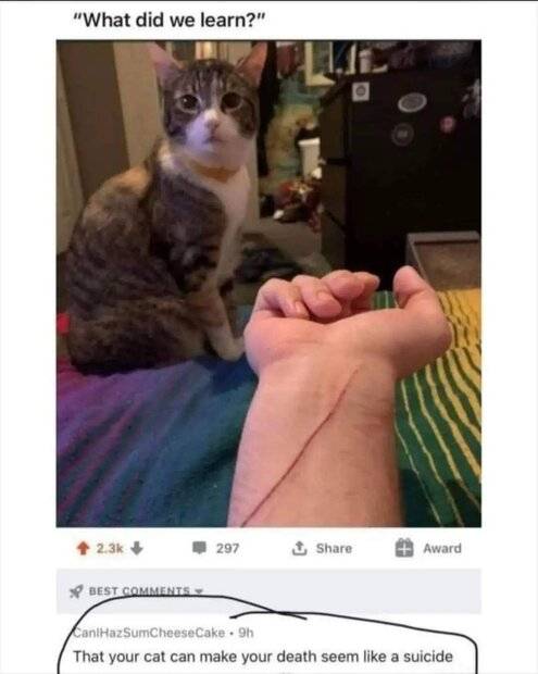 FB_IMG_1687761505798.jpg