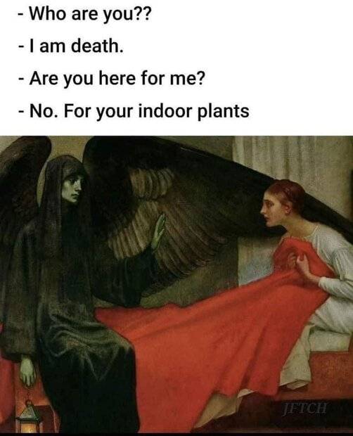 FB_IMG_1692259677486.jpg
