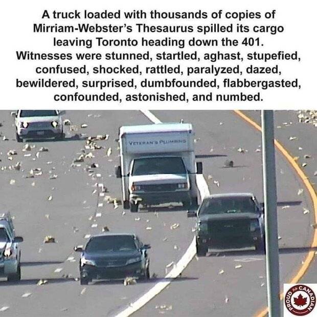 FB_IMG_1697565781799.jpg