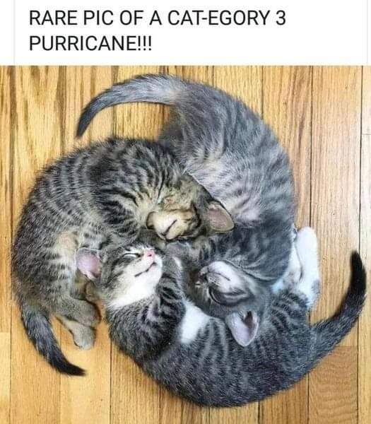 FB_IMG_1703359436748.jpg